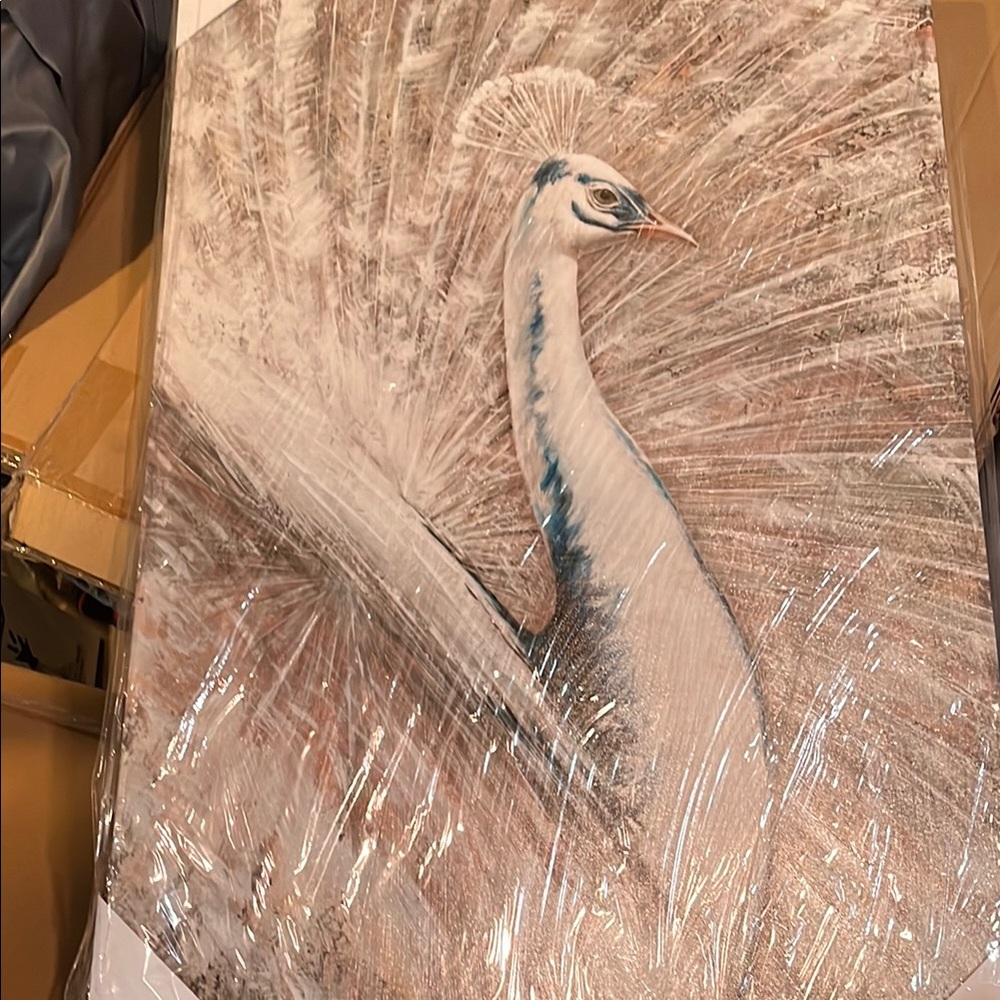 Elegant White and Blue Peacock Canvas Art